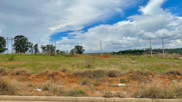 LOTE MORADA NOVA 04